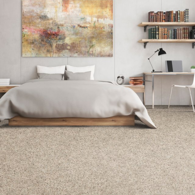 Alluring Flooring Inc. providing stain-resistant pet proof carpet in Boca Raton, FL-Blended Moments-Castle Rock